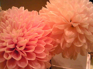 a0052621_22385850.jpg