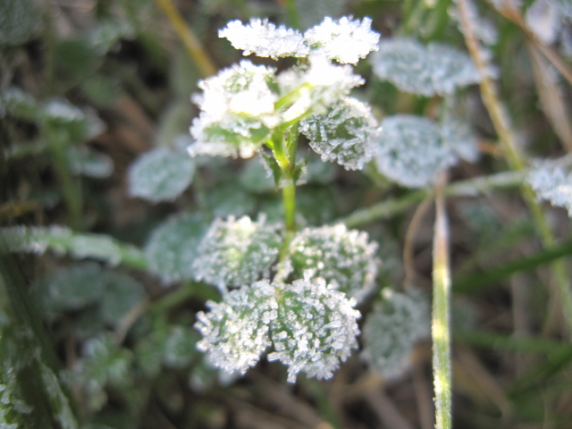 b0088037_84599.jpg