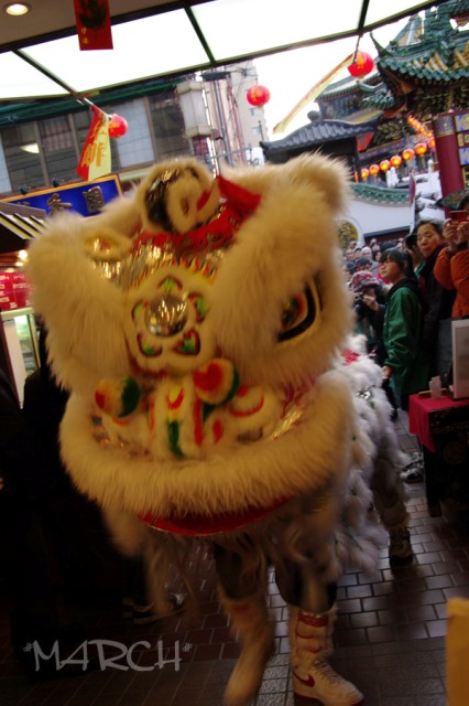 e0146037_20594132.jpg