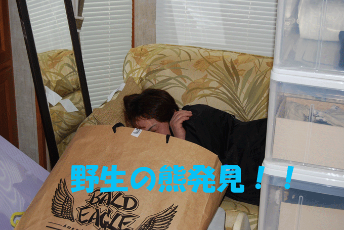 c0136838_12133776.gif