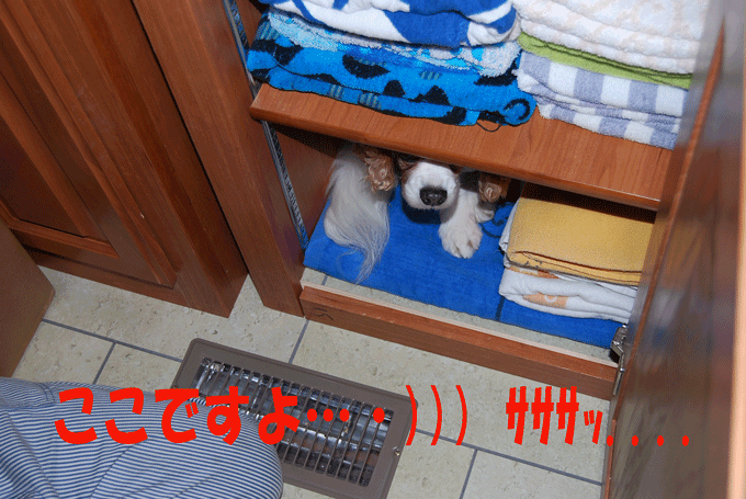 c0136838_12154271.gif