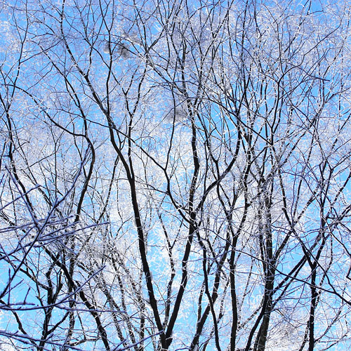 c0067040_22351224.jpg