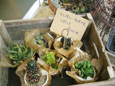 e0110940_239474.jpg