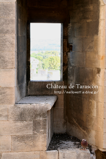 【フランス旅行記】　Château de Tarascon・タラスコン城_d0124248_114815100.jpg