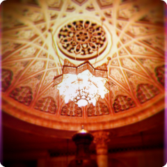 e0028650_2242179.jpg