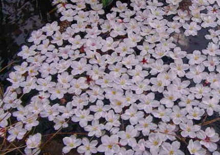 e0126350_23103782.jpg