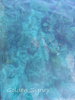f0192950_113296.jpg