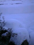 雪が、包み込むように…_f0071456_041111.jpg