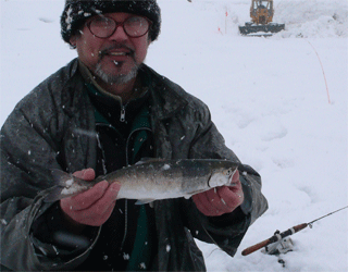 f0163063_16501246.gif