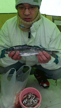 f0163063_174269.gif