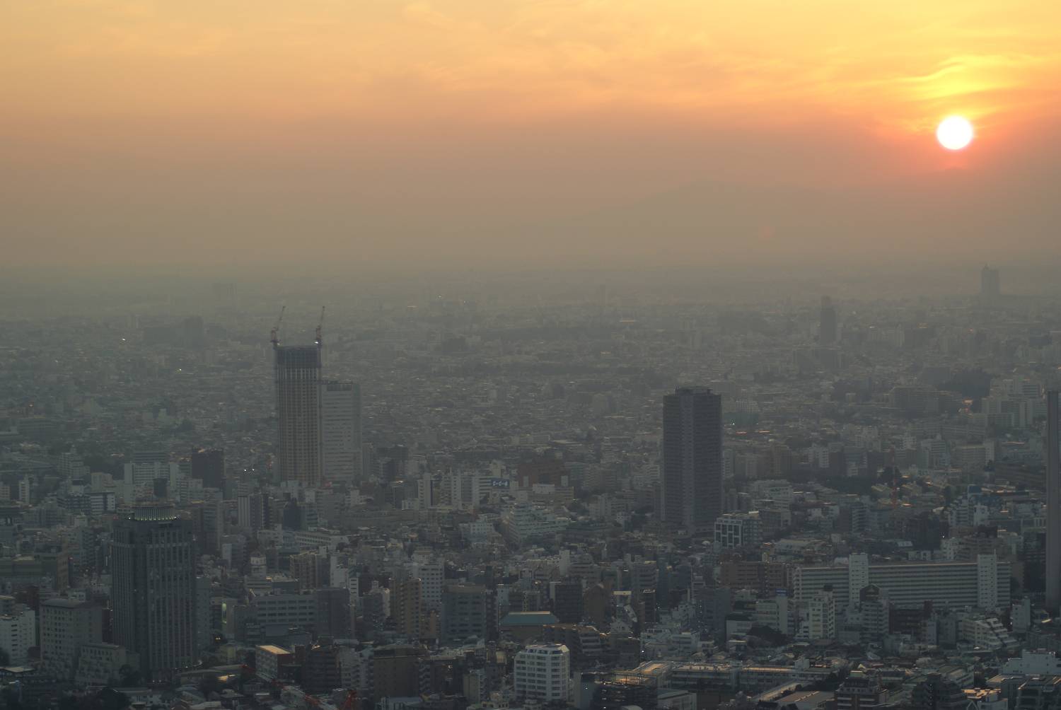 b0019567_1811329.jpg