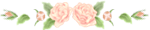 e0088576_010533.gif