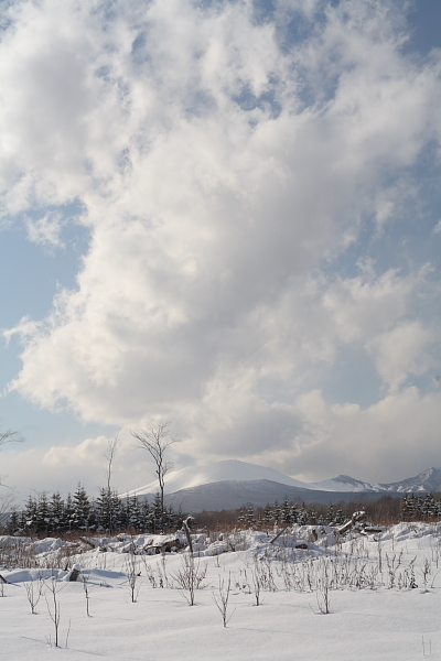 f0048583_22124899.jpg