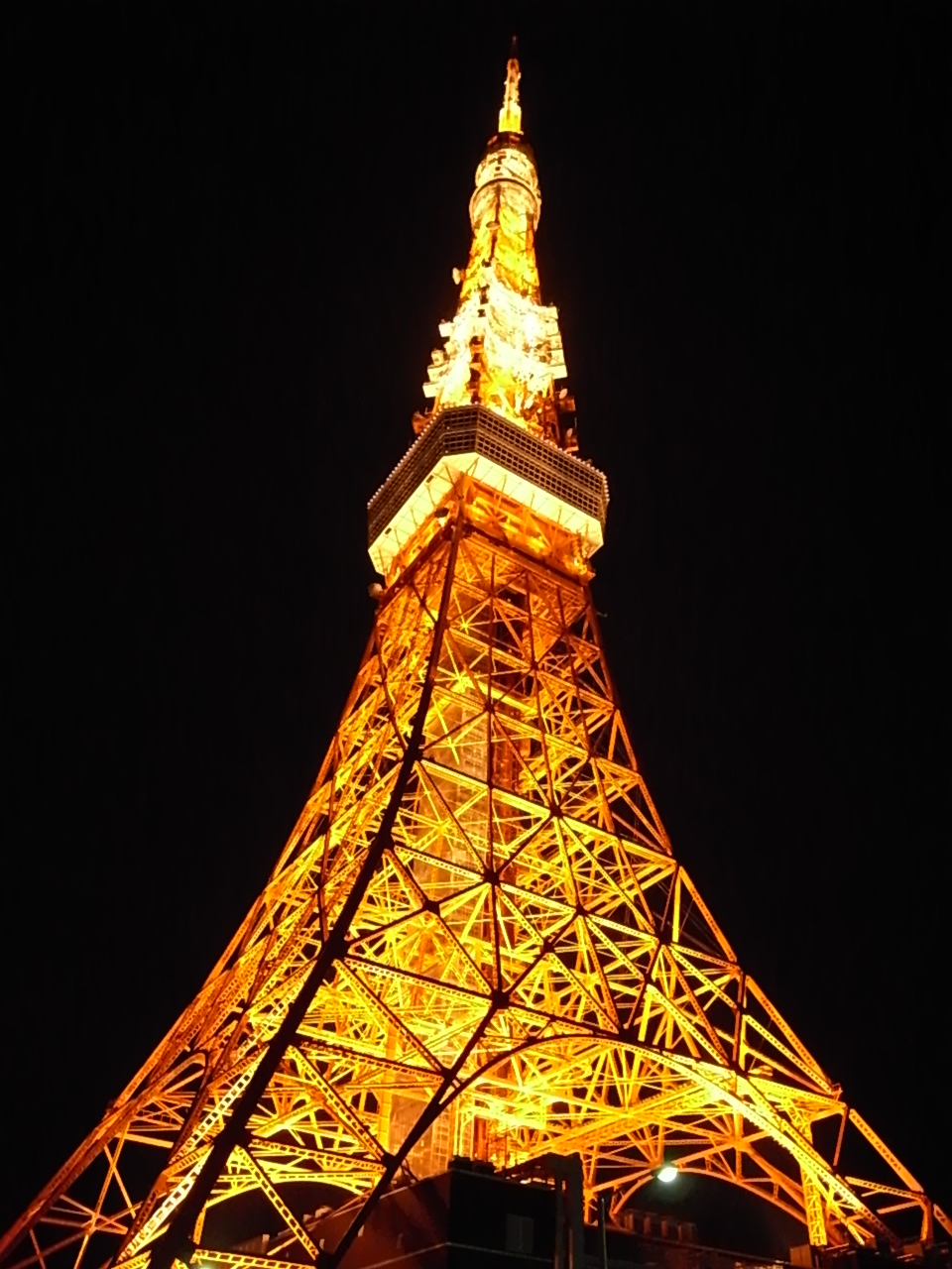 美しき夜の東京タワー　_d0122797_10172885.jpg