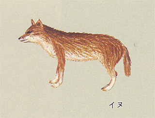 第10回 縄文時代 犬は大事な友達 青森の縄文ブログ 第10回 縄文時代 犬は大事な友達 青森の縄文ブログ