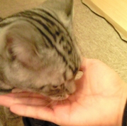 c0181601_8485840.jpg