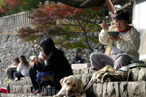 交配後初めてのお出かけ ～紅葉狩り_c0089005_0272413.jpg