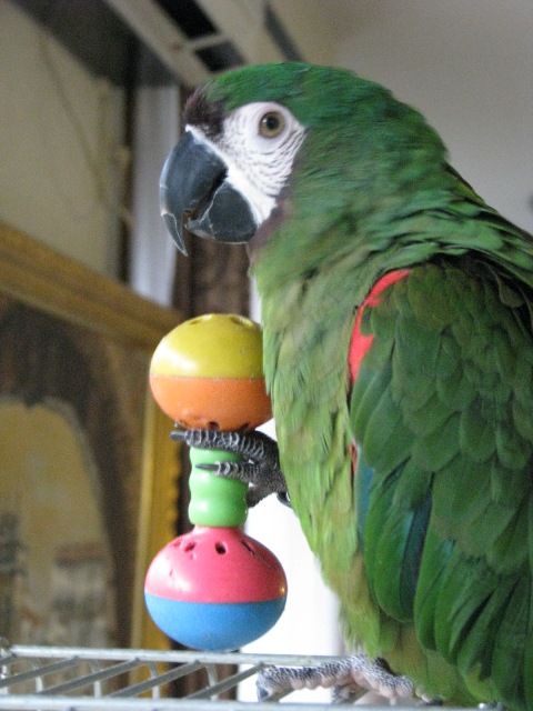 d0081210_2065885.jpg