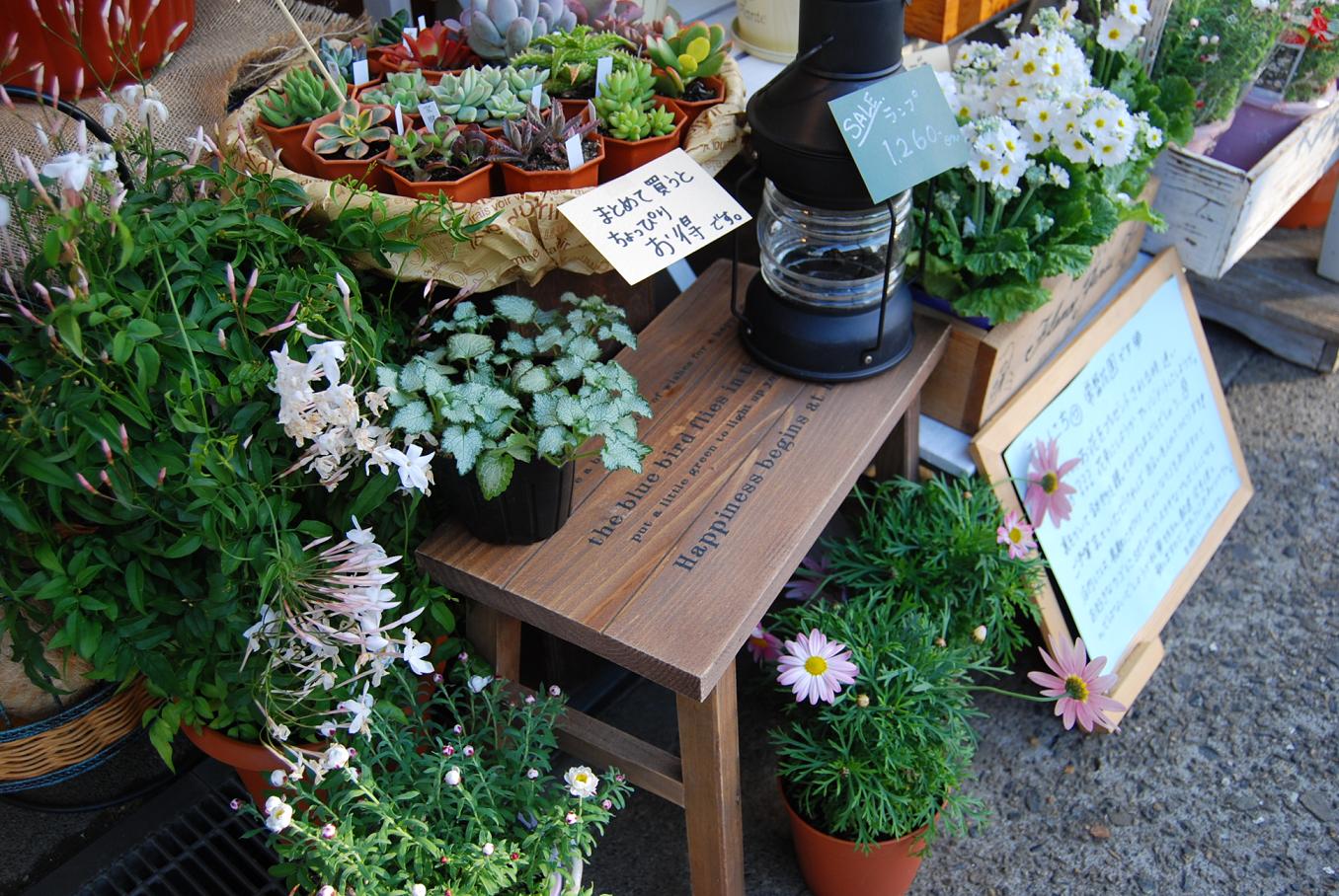 かわいい花屋さん 常盤花園のhana Hana花じかん