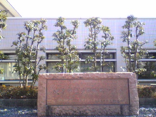 a0099129_04147.jpg