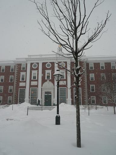 ボストン冬の地味生活 ボストン生活 Harvard Mba 奥様目線 ボストン冬の地味生活 ボストン生活 Harvard Mba 奥様目線