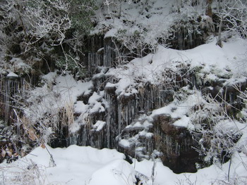 ドライブ情報　７’　山の樹氷_c0183137_19131953.jpg