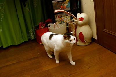 ビビリ・・・_a0028451_131388.jpg