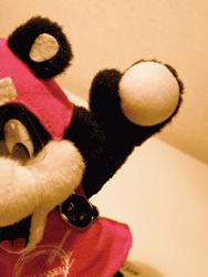 b0159557_2065715.gif