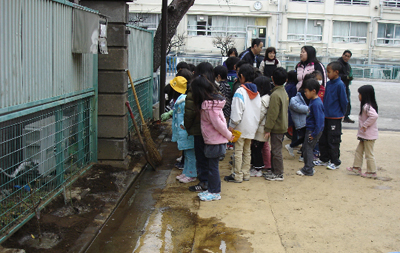 駒場小学校にて_a0094959_11303091.jpg