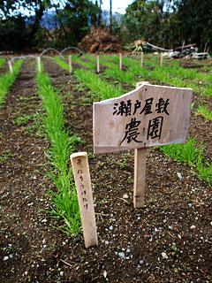c0008664_234242.jpg