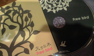 Free bird 始動！_c0194767_22214842.jpg