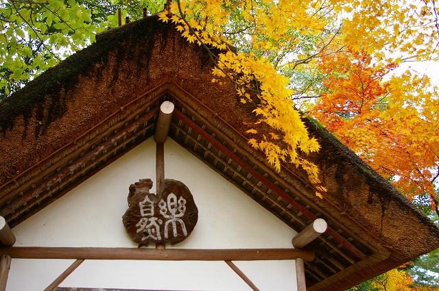 f0168478_23777.jpg