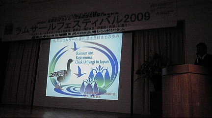 a0036384_13591014.jpg