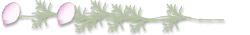 a0026089_19303966.gif
