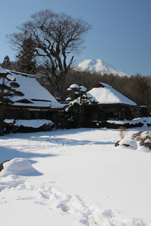 09．01．17：同僚と行く、忍野、富士五湖、富士山三昧２_c0007190_19293080.jpg