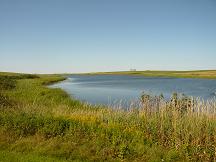 c0131701_039954.jpg
