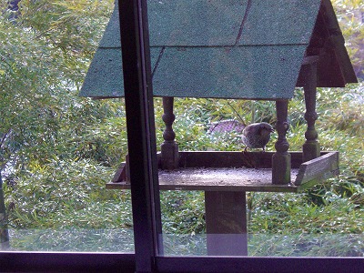 c0125702_22431.jpg