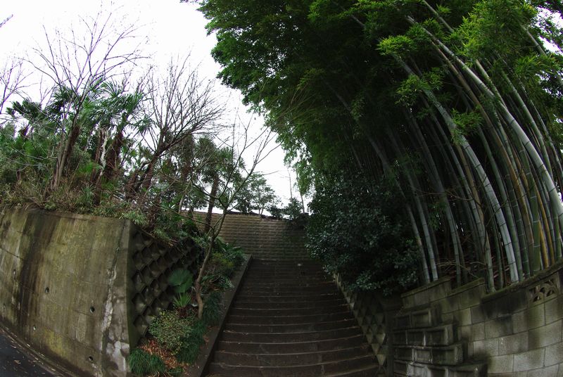 c0187503_21304736.jpg