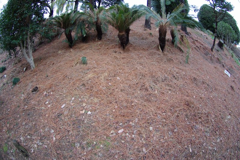 c0187503_21344789.jpg