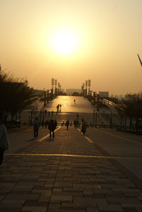 b0040606_1694187.jpg