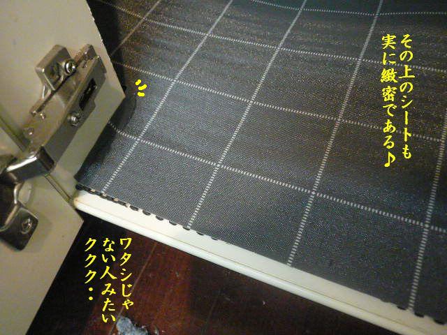 e0094407_17131262.jpg
