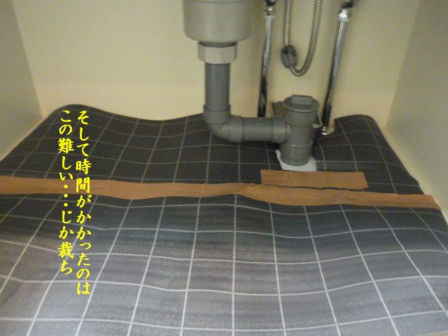 e0094407_17463945.jpg