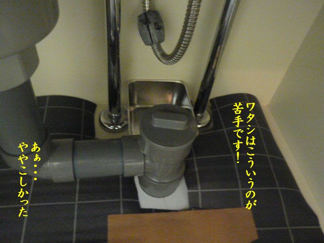 e0094407_1748177.jpg