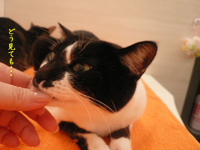 e0094407_1812125.jpg