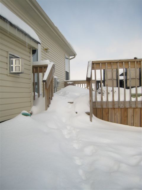 c0079011_2581646.jpg