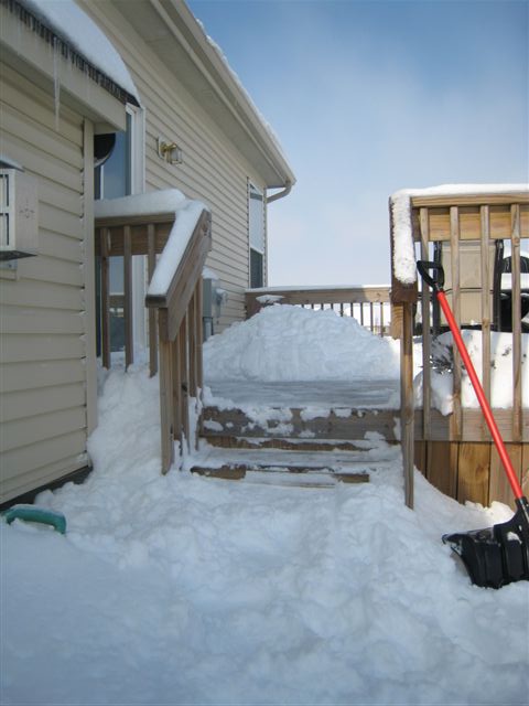 c0079011_311783.jpg