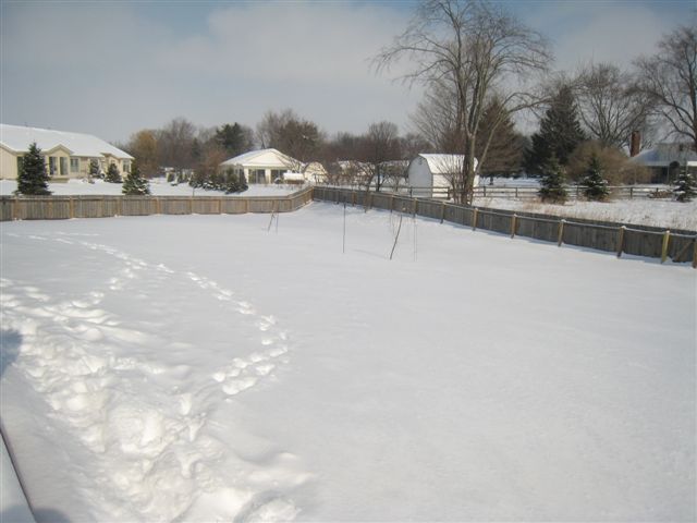 c0079011_32669.jpg