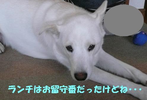 f0121712_10514098.jpg