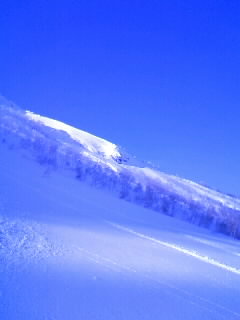 c0154313_13171.jpg