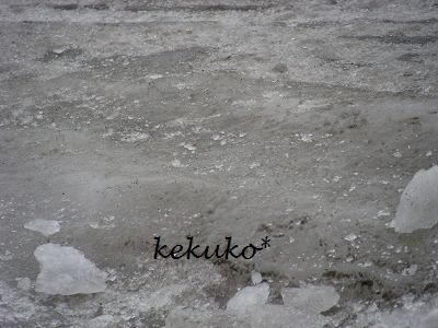 f0170524_14313377.jpg